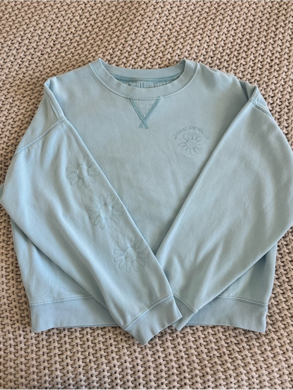 American Eagle Light Blue Daisy Embroidered Crewneck Sweater
